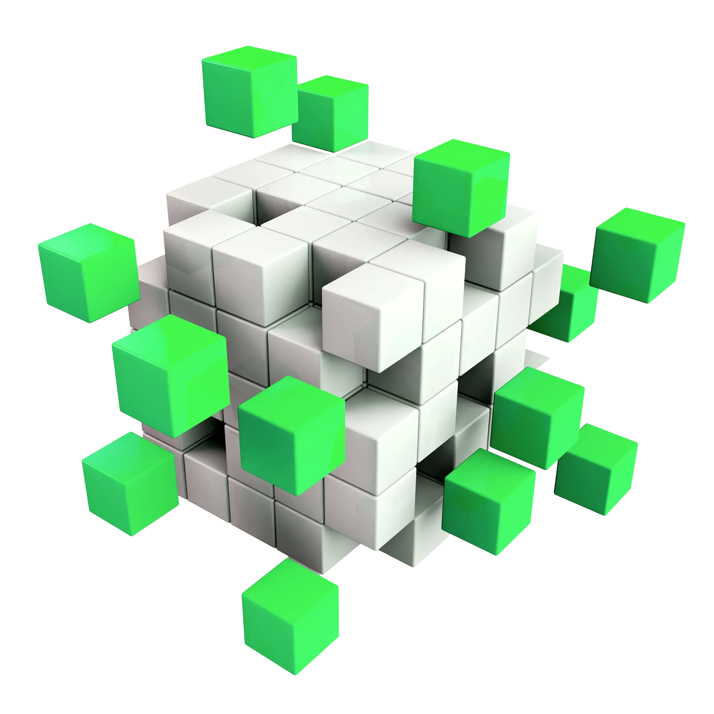 Build Software That Fits Your Exact Business Needs